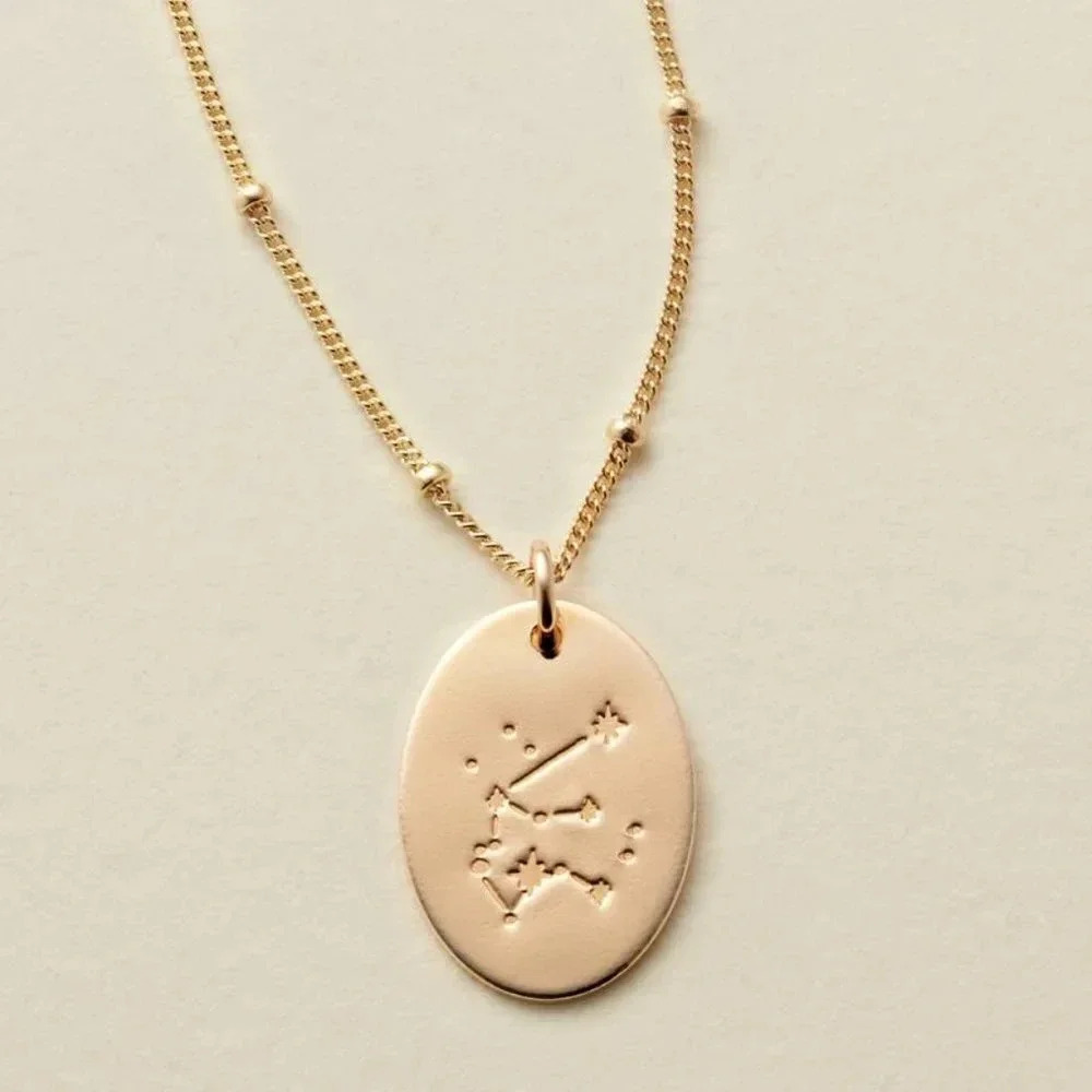 Aquarius Zodiac Charm Oval Disc Necklace